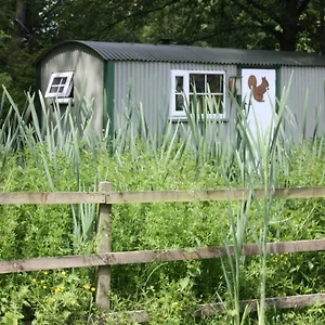 Holiday home The Squirrels Drey Shepherds Hut, Cowling